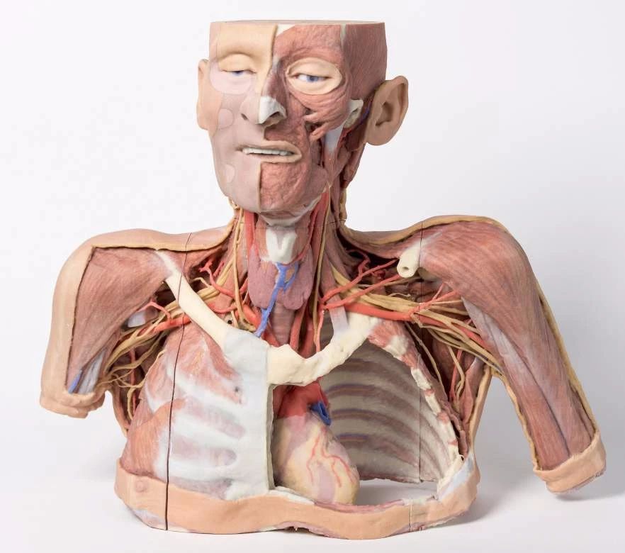 3D SYSTEMS 3D打印機在醫療行業的應用